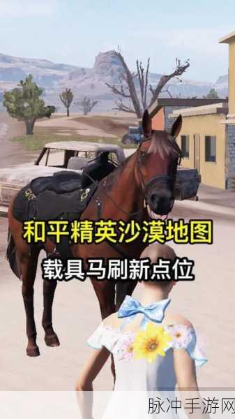 和平精英沙漠地图深度探索,揭秘稳操胜券的宝藏地点