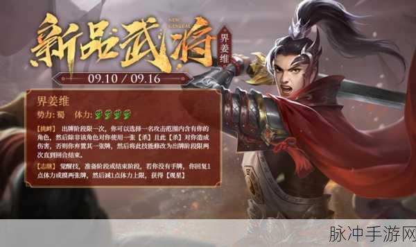 放开那三国2姜维角色深度解读,技能属性全剖析