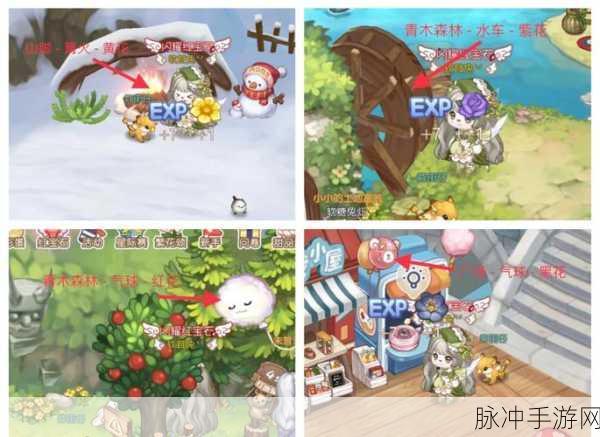 奥比岛探秘,七色花全收集指南