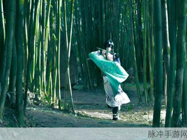 阴阳师万年竹获取全攻略,解锁竹林神秘使者