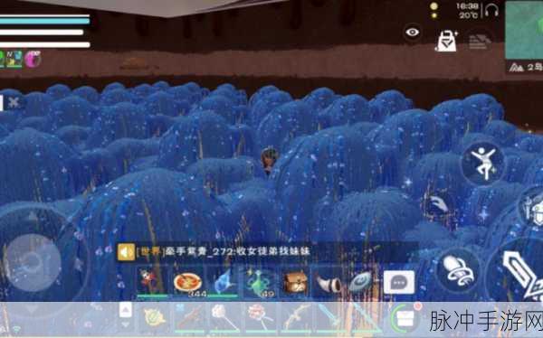 魔法群岛探秘,解锁创造与魔法切换的艺术