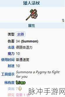 泰拉瑞亚红宝石法杖,解锁神秘力量的钥匙