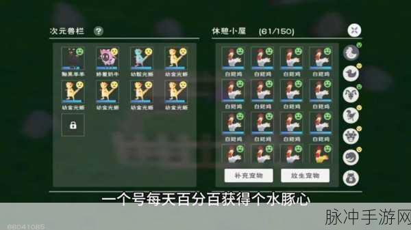冥狱魔犬震撼登场,创造与魔法终极技能全揭秘