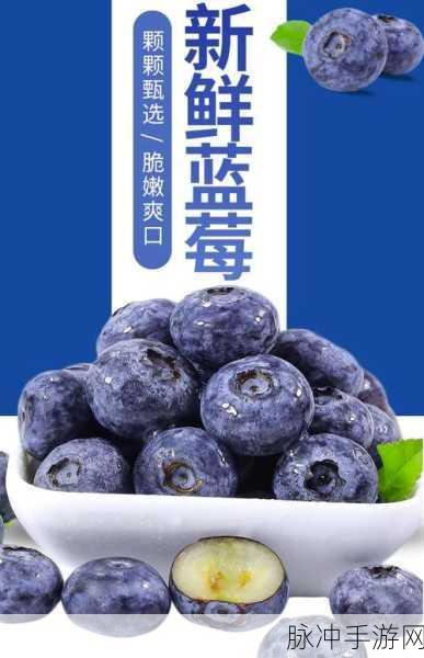 学霸王蓝莓新版本震撼上线,免广告畅享自由玩法与极致画质