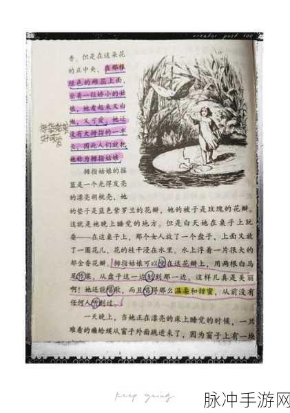 有杀气童话拇指姑娘辛迪,属性深度剖析