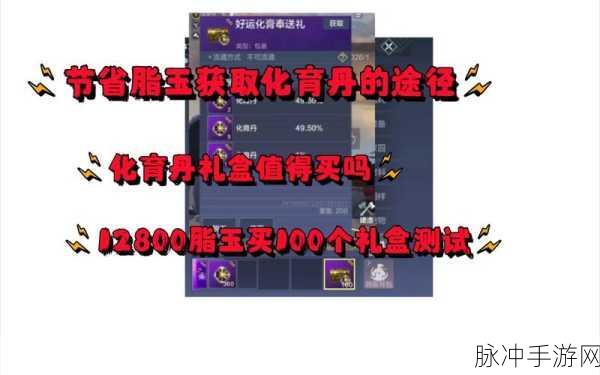 妄想山海,脂玉使用秘籍,解锁无限可能