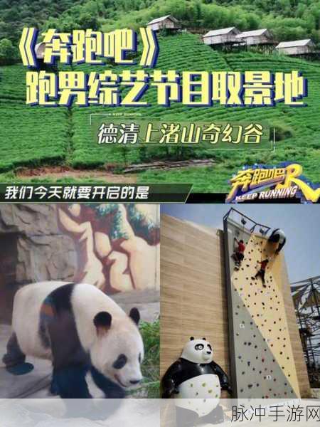 天下三小草娃的奇幻之旅,萌宠探险,重塑仙侠新篇章