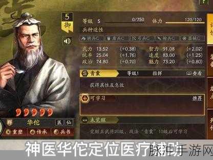 三国志战略版华佗深度解析,辅助王者,值得一练