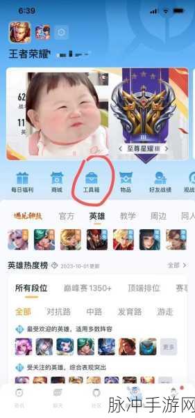 王者荣耀进阶之路,解锁高手秘籍,青铜至王者轻松跨越