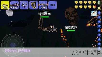 泰拉瑞亚,揭秘诅咒骷髅掉落的邪恶之眼刷怪时机