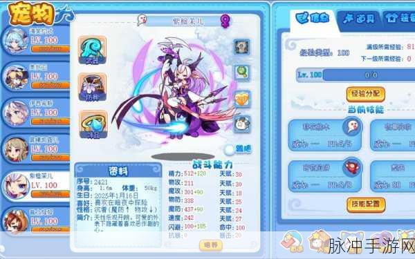 轩辕传奇战士灵宠搭配全攻略