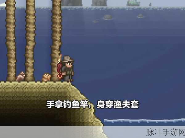 泰拉瑞亚新探险,揭秘猩红钓鱼的神秘宝藏