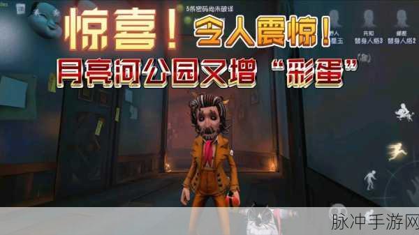 2025第五人格厂长小彩蛋全揭秘,深度挖掘背后的故事