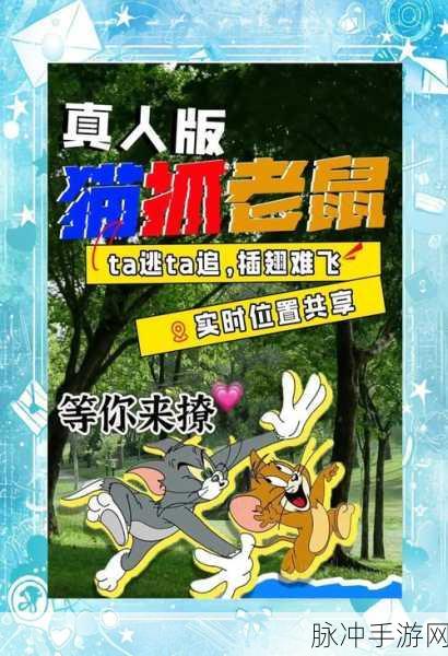 猫和老鼠,创意无限,欢乐追逐新体验全面揭秘