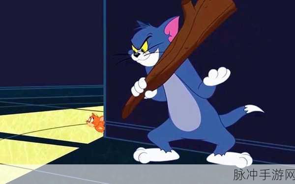 猫和老鼠,创意无限,欢乐追逐新体验全面揭秘
