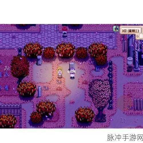 星露谷物语,揭秘紫色短裤的神秘藏匿点