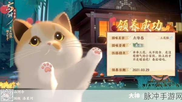 忘川风华录,揭秘三花猫外观的绝美魅力与传奇故事