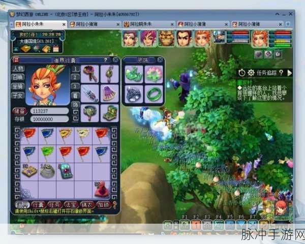 梦幻西游3D新版本,摘桃子技巧与速刷攻略大揭秘