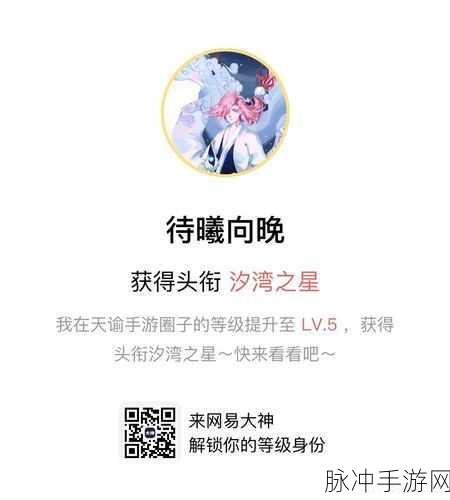 天谕手游浪漫献礼,你的名字乐谱代码全揭秘