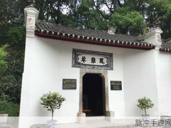 烟雨江湖探秘,凤雏老人隐居何处