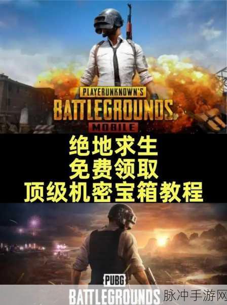 绝地求生Steam隐身?揭秘寻找与畅玩全攻略!