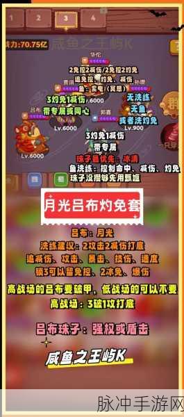 咸鱼之王20塔10层双吕布通关秘籍