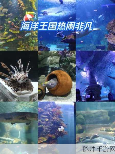 我要当海王,解锁休闲新境界,畅游海底冒险之旅