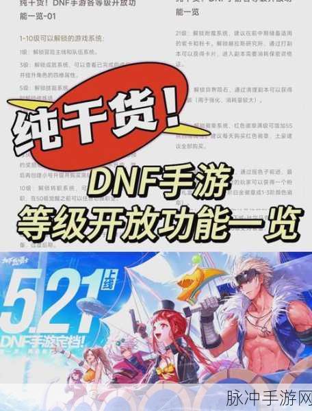 DNF手游冒险团金库终极指南,解锁最大容量秘籍