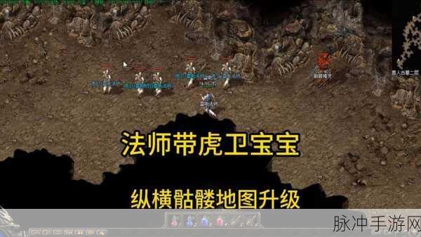 奥奇传说手游召唤师世家揭秘,传奇法师召唤刀卫虎卫攻略
