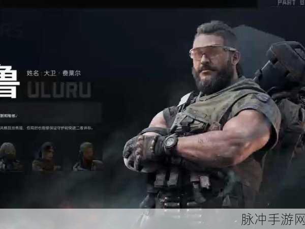 三角洲行动深度解析,高手秘籍助你完美通关乌鲁鲁任务