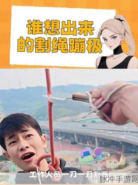 割绳落球,挑战智慧极限的休闲益智新选择