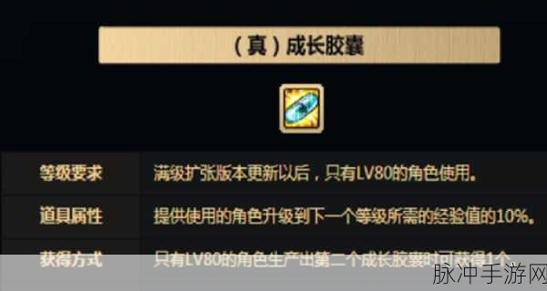 DNF高效获取经验胶囊秘籍,解锁最优任务选择新篇章