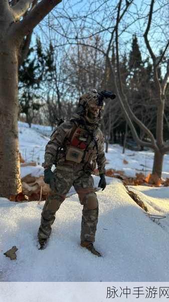 解锁游戏新维度,damtoys兵人官网,游戏爱好者的梦幻乐园