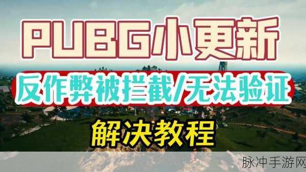 绝地求生组队闪退谜团破解,你的吃鸡征途能否畅通无阻?