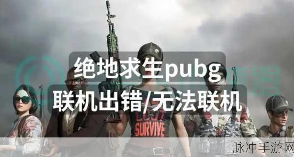 绝地求生组队闪退谜团破解,你的吃鸡征途能否畅通无阻?