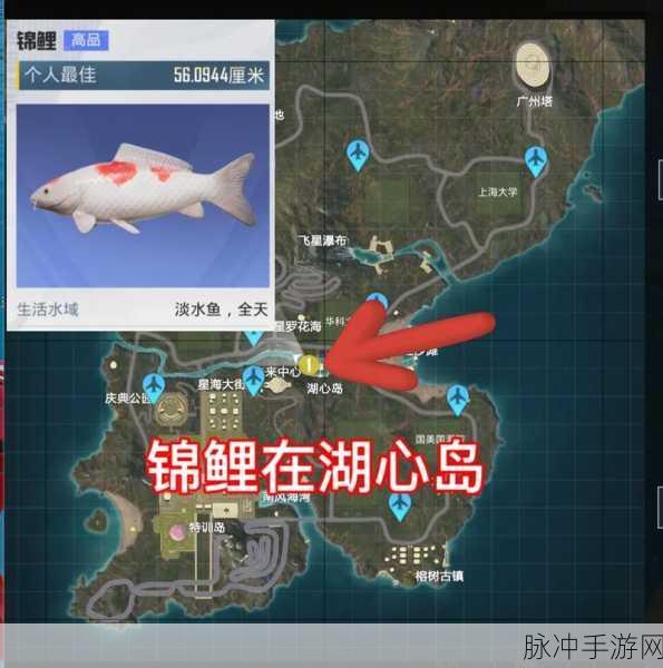 绿洲垂钓秘籍解锁,和平精英钓鱼大赛全攻略来袭