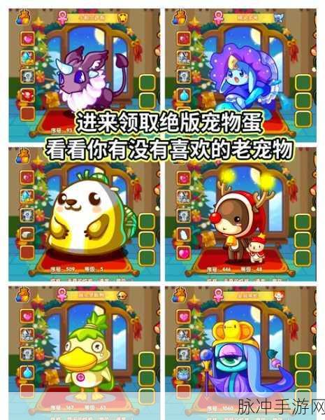 洛克王国珍稀之旅,解锁绝版宠物的高效秘籍