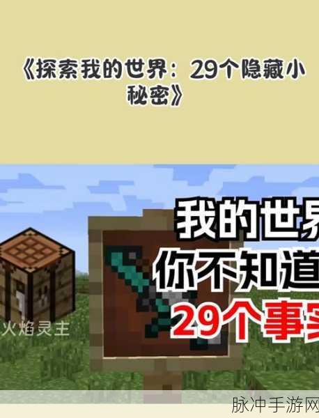 探秘我的世界,隐身指令99999,解锁无限创意空间