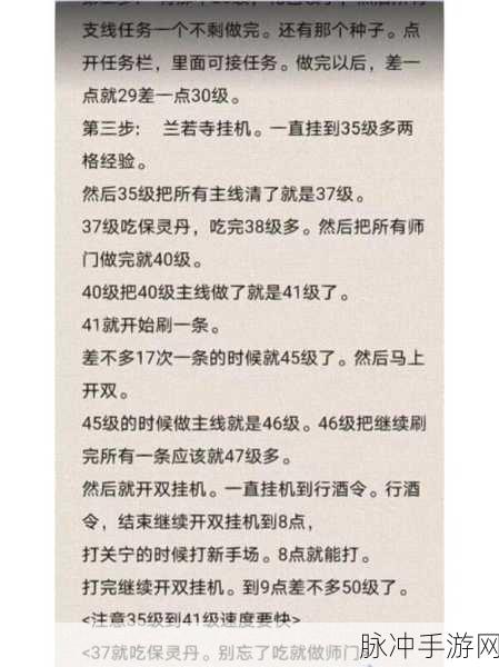 倩女幽魂手游80级后挂机攻略,解锁高效升级新路径