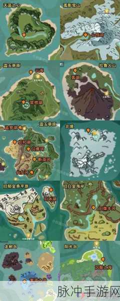 创造与魔法霓虹鳐鱼,颜值与实用性的权衡