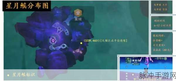 创造与魔法霓虹鳐鱼,颜值与实用性的权衡