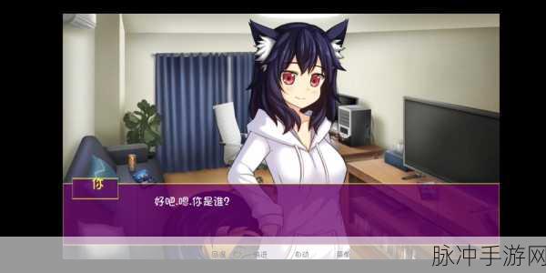 我是猫女仆喵安卓直装版来袭,二次元恋爱养成新体验
