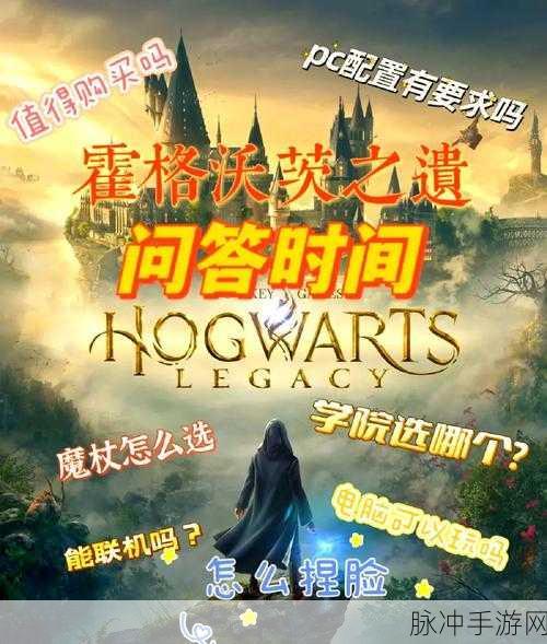 霍格沃茨之遗开局学院选择指南
