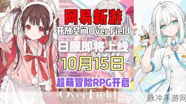 开放空间新纪元,新人开服全攻略,避坑秘籍大放送!