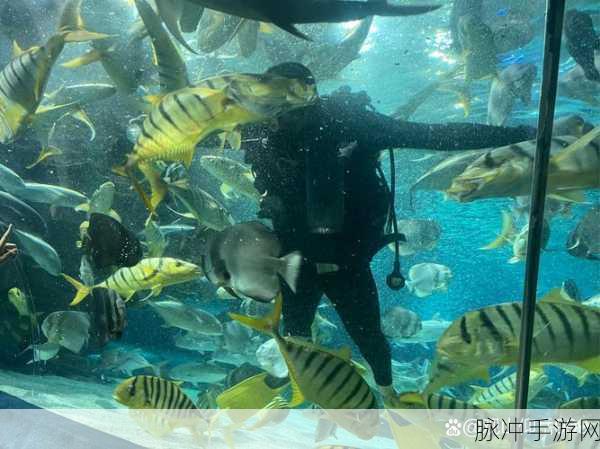 探索深海奥秘,开启你的海底生存冒险之旅