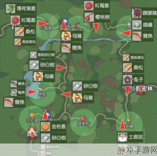 小森生活鱼王位置全攻略,详尽汇总与深度钓鱼技巧