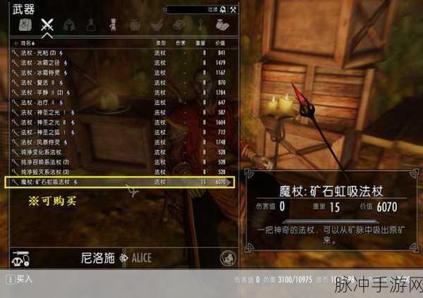 探秘上古卷轴5,寒霜元素法杖,魔法世界的终极奥义