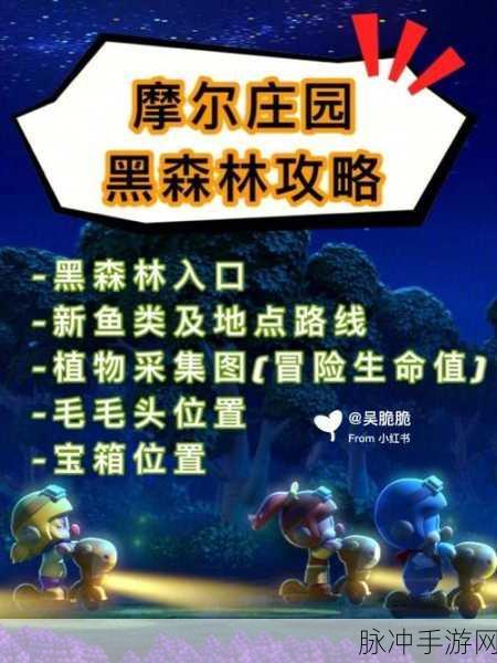 摩尔庄园探险记,揭秘毛毛菇的秘密获取奇旅