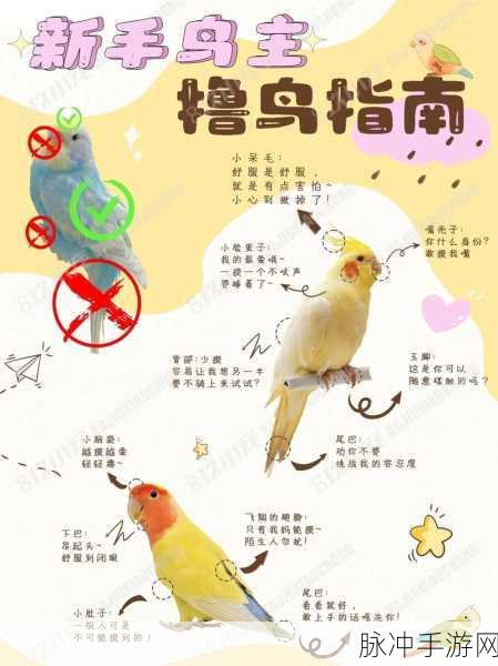 饥荒鸟笼里的鸟如何喂食?解锁从新手到老鸟的喂鸟秘籍