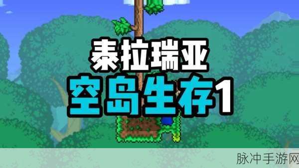 泰拉瑞亚新手指南,空岛生存前期策略全攻略